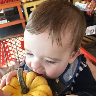 Lovely selection of pumpkins!