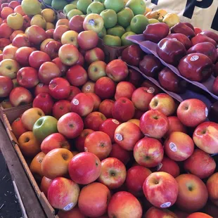 Apples and more apples!