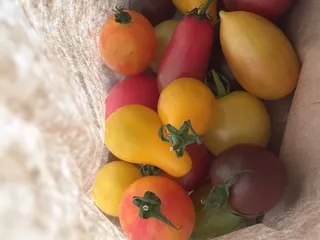 Plainfield Chamber Farmers Market