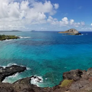 Ocean L.