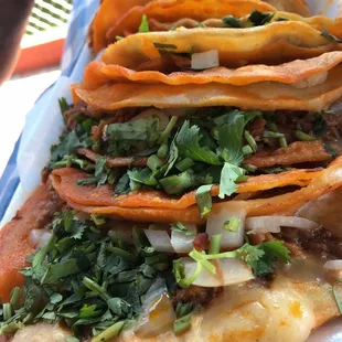 Queso birrira taco