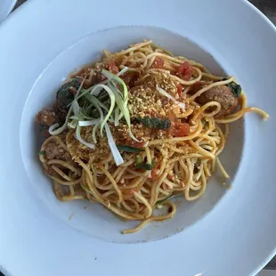 Spaghetti and Meatballs