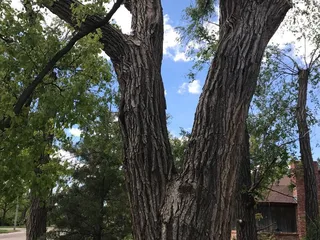 Tucked Inn Bed & Breakfast