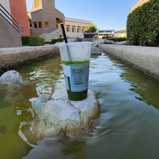 Willy Wonka&apos;s Matcha River