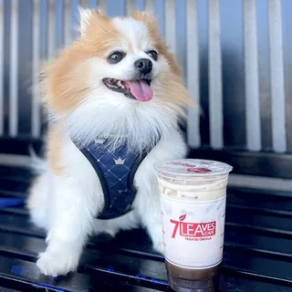 Oolong Milk Tea