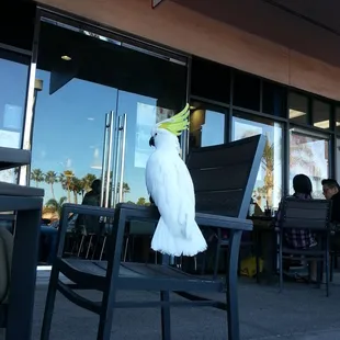 you mght get lucky and see some friendly birds visit