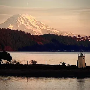 Mount Rainer from the patio at 7 Seas