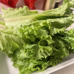 Chicken Lettuce Wrap