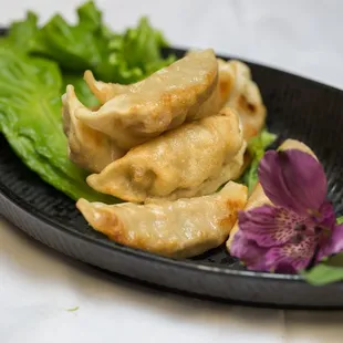 Fried pork dumpling