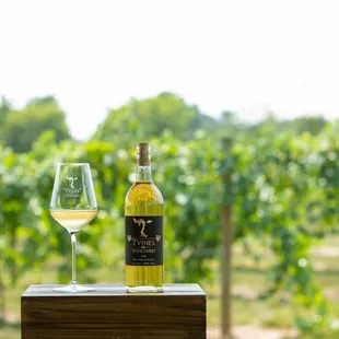 a bottle of wine and a glass of wine