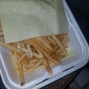 Large fry.