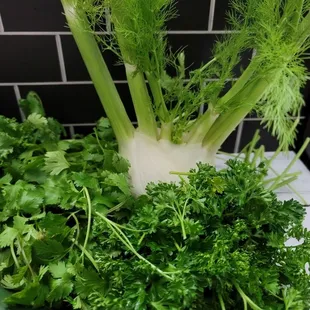 a pile of fresh herbs