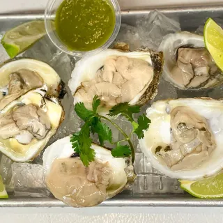 Fresh Oysters