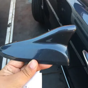 Shark fin from my car That the car wash broke off.