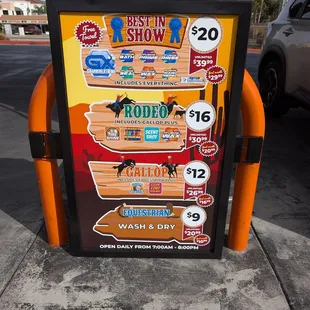 Get those bugs off the car