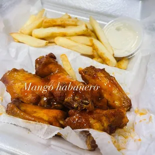 chicken wings and french fries