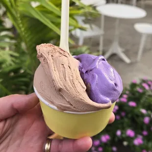 Chocolate Coconut &amp; Ube