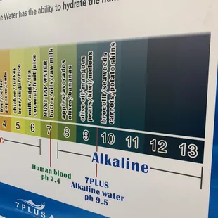 different levels of alkaline