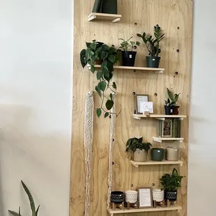 shelves with plants and a sign