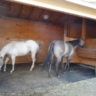 Run-in stalls with mats