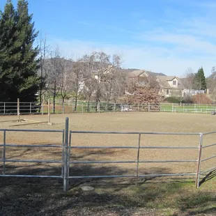 Arena
