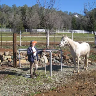 Horse wash area