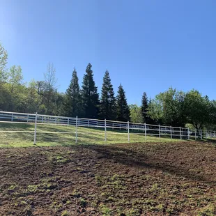 Beautiful morning