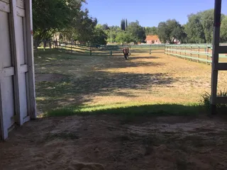 The Horsey Hilton