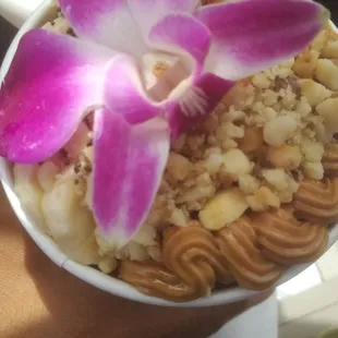 Chocolate Cacao Cacau Pb Vitality Bowl
