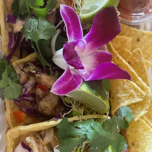 Chicken Tacos