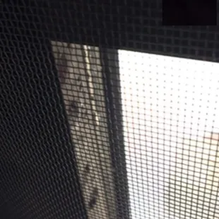 Water on mullion due to a cold weather...