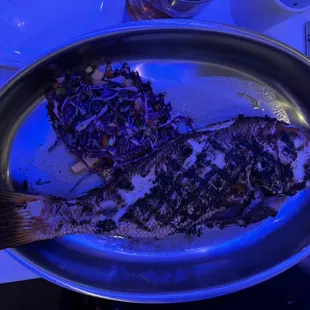 Whole Red Snapper