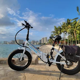 Saddle bags for extra storage and choice of saddle or standard bike seats.  Great for riders 5'0-6'8".  15 years of age and up for rentals.