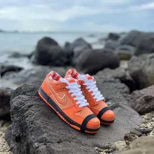 Nike SB Dunk Low Pro "Orange Lobster"