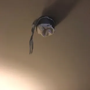 No clue. It was hanging from the smoke detector.