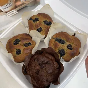 Protein Muffins