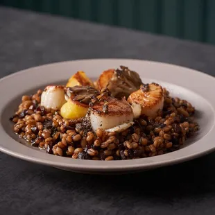 JJAJANG BORI-BAP
 Seared scallops over barley mixed in black bean sauce &amp; truffle paste
 $25