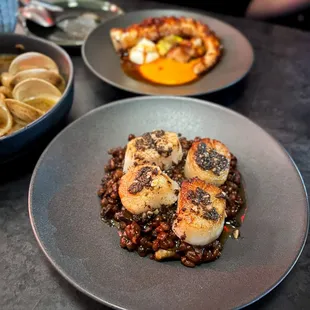 Jjajang Bori-bap