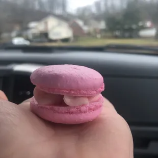 Tutie Frutie Macaron