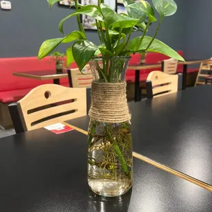 Nice Plant. Good Pho.