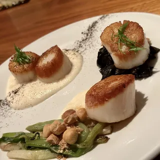 Sea Scallops