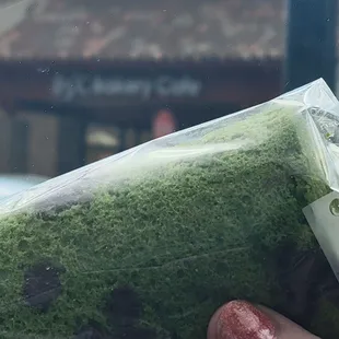 Matcha cream roll