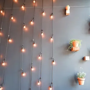 Pretty lights &amp; plants