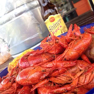 Spicy lemon pepper crawfish and shiner.