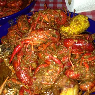 Huge big daddy crawfish