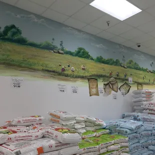 a large display of rice