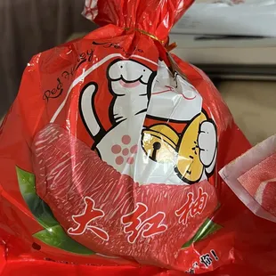 a cat wrapped in a red bag