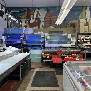 11/12/24 Seafood department &amp; live seafood tanks