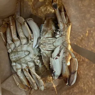 88 Seafood Supermarket