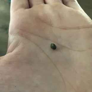 a small green stone on a person&apos;s hand
